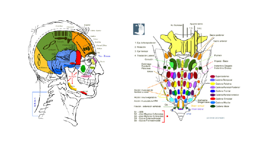 Image module